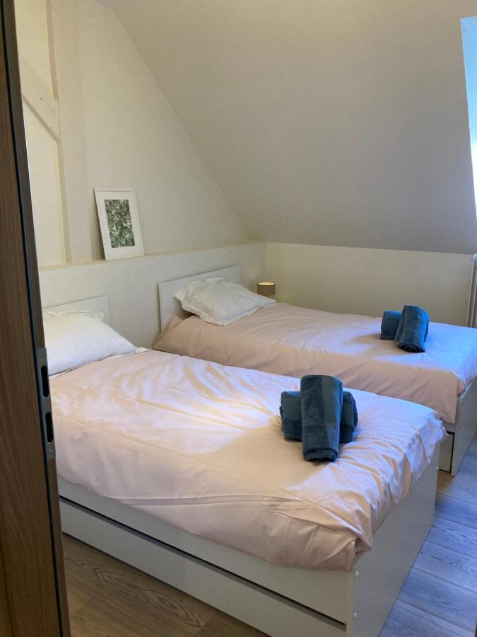 Apartmán Les Moulins Tres Agreable Et Idealement Situe Colmar Exteriér fotografie